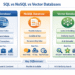 SQL vs NOSQL vs Vector Database